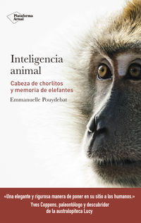 INTELIGENCIA ANIMAL - CABEZA DE CHORLITOS Y MEMORIA DE ELEFANTES