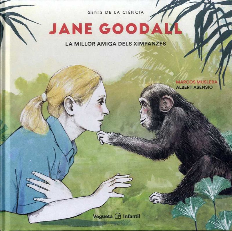 jane goodall - la millor amiga dels ximpanzes - Marcos Muslera / Albert Asensio (il. )
