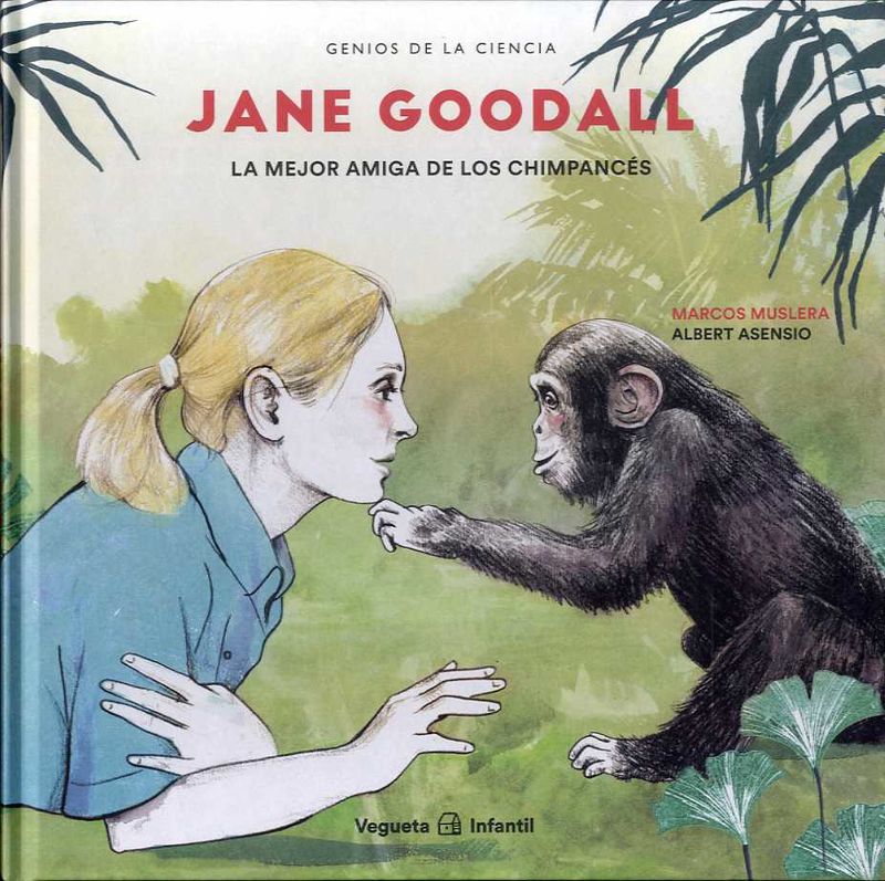 jane goodall - la mejor amiga de los chimpances - Marcos Muslera / Albert Asensio (il. )