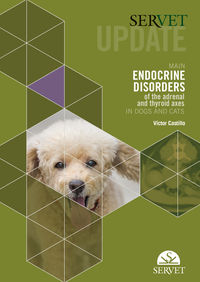 servet update - main endocrine disorders of the adrenal and thyroid axes in dogs and cats