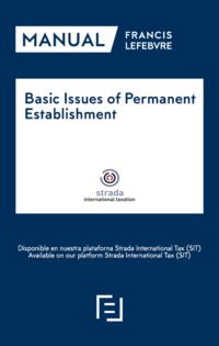 basic issues of permanent establishment - Aa. Vv.