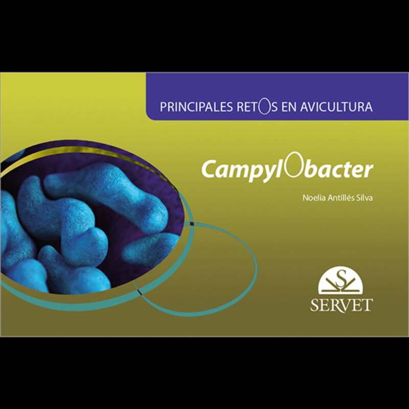 principales retos en avicultura. campylobacter - Noelia Antilles Silva