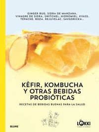 kefir, kombucha y otras bebidas probioticas - recetas de bebidas buenas para la salud