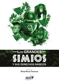 Los grandes simios y sus derechos basicos - Pedro Pozas Terrados
