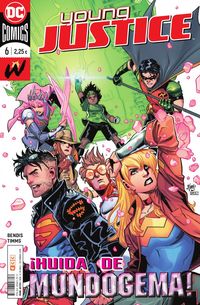 young justice 6