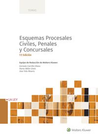 (7 ed) esquemas procesales civiles, penales y concursales - Aa. Vv.