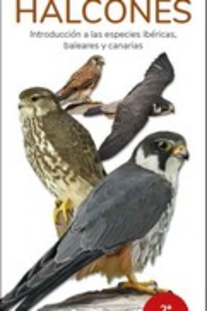 halcones - guias desplegables tundra - Victor J. Hernandez