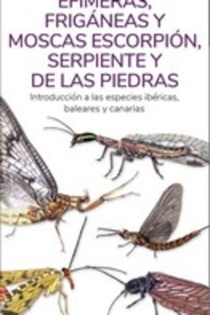 efimeras, friganeas y moscas escorpion, serpiente y de las piedras - introduccion a las especies ibericas, baleares y canarias - Victor J. Hernandez