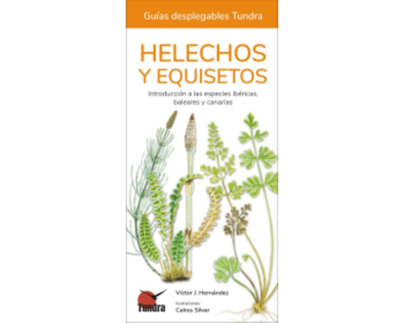 HELECHOS, EQUISETOS Y LICOPODIOS - GUIAS DESPLEGABLES TUNDRA