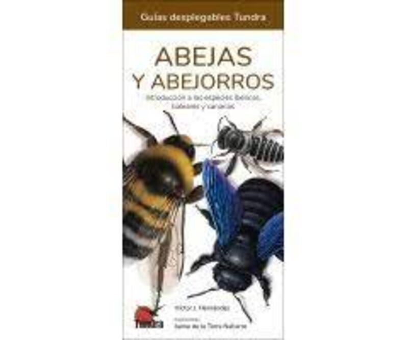 ABEJAS Y ABEJORROS - GUIAS DESPLEGABLES TUNDRA
