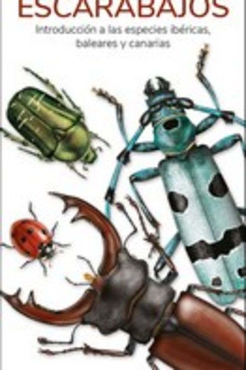 escarabajos - guias desplegables tundra - Victor J. Hernandez