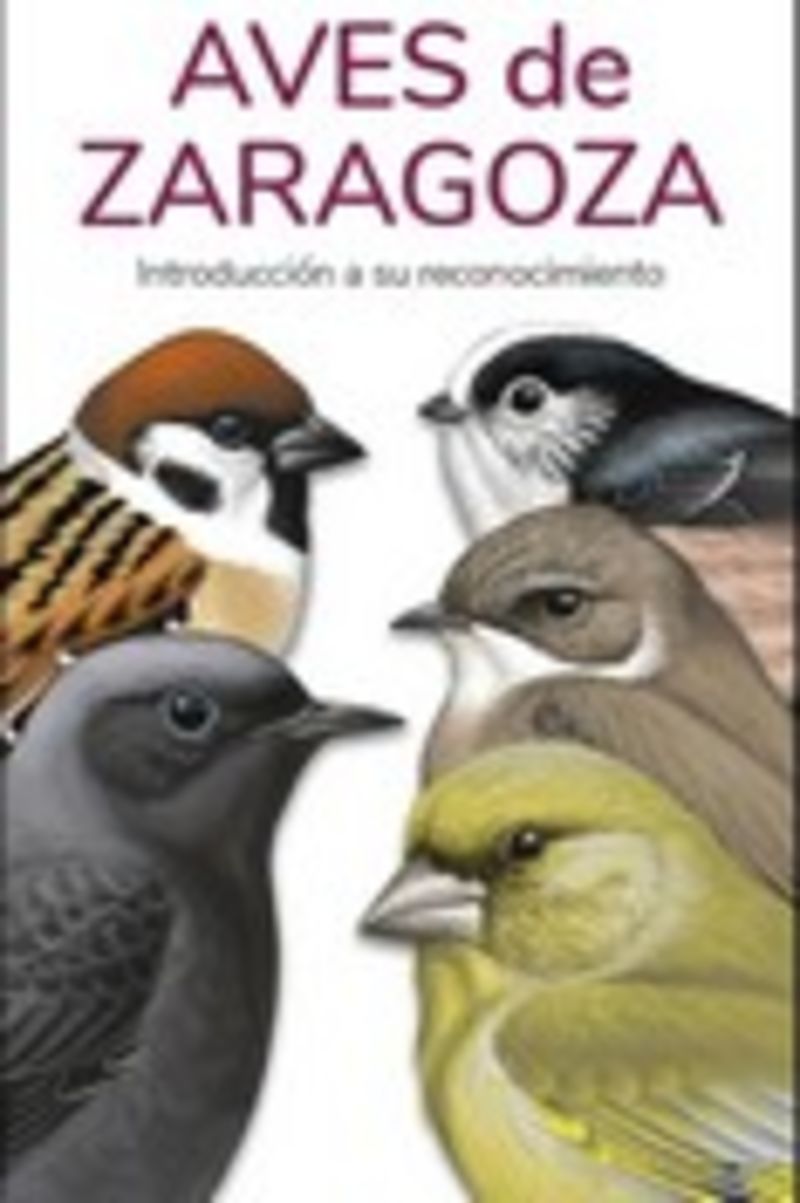 aves de zaragoza - guias desplegables tundra - Victor J. Hernandez