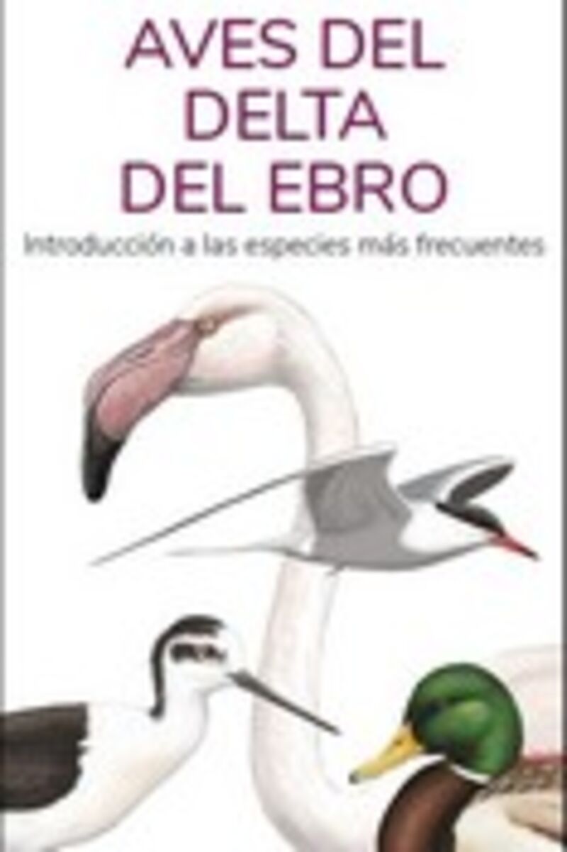 aves del delta del ebro - guias desplegables tundra - Victor J. Hernandez