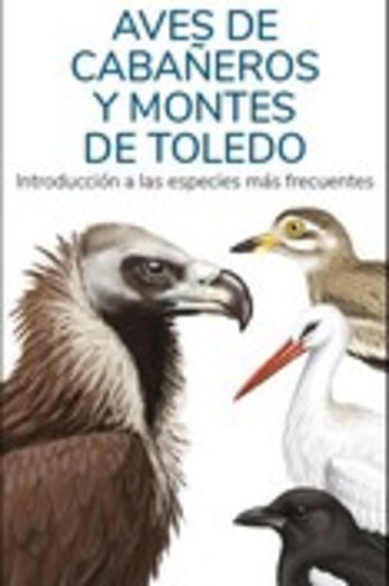 aves de cabaueros y montes de toledo - guias desplegables tundra - Victor J. Hernandez