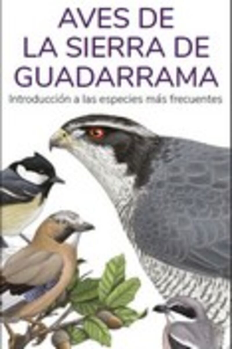 aves de la sierra de guadarrama - guias desplegables tundra - Victor J. Hernandez