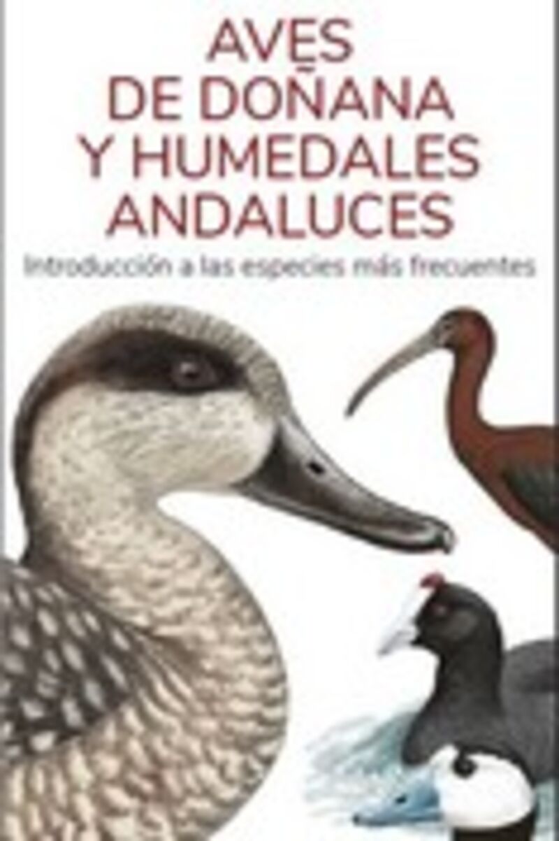 aves de douana y humedales andaluces - guias desplegables tundra - Victor J. Hernandez