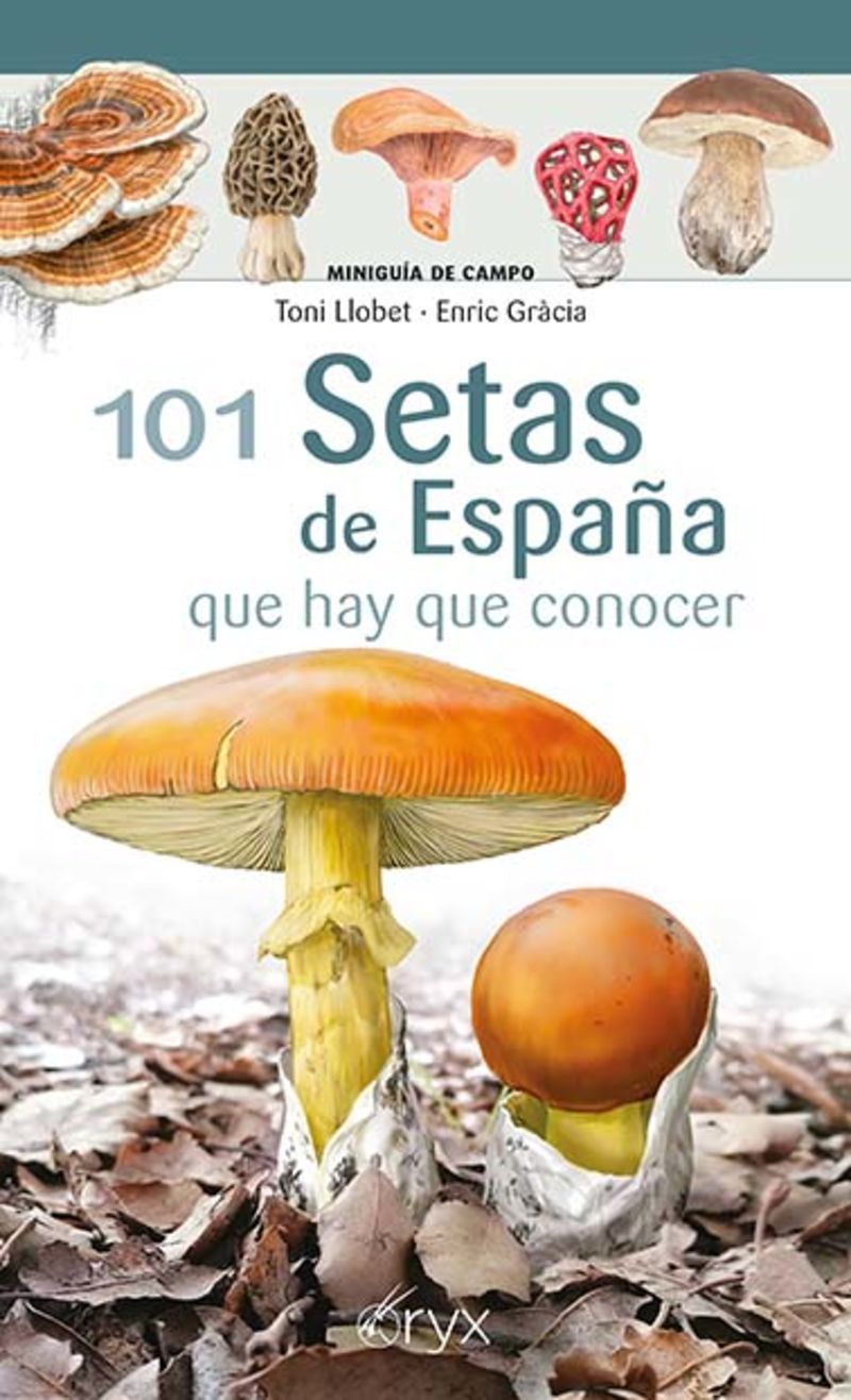 101 SETAS DE ESPAÑA - QUE HAY QUE CONOCER