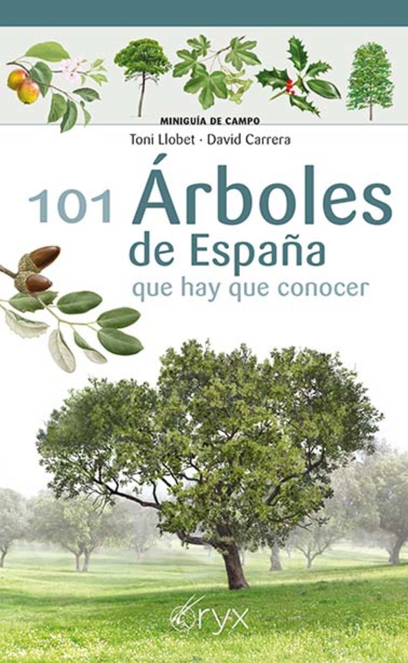 101 ARBOLES DE ESPAÑA - QUE HAY QUE CONOCER