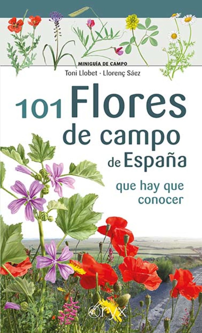 101 flores de campo de españa - que hay que conocer - Toni Llobet François / Enric Gracia I Barba