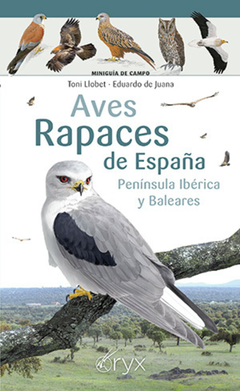 aves rapaces de españa, peninsula iberica y baleares - Toni Llobet / Eduardo De Juana