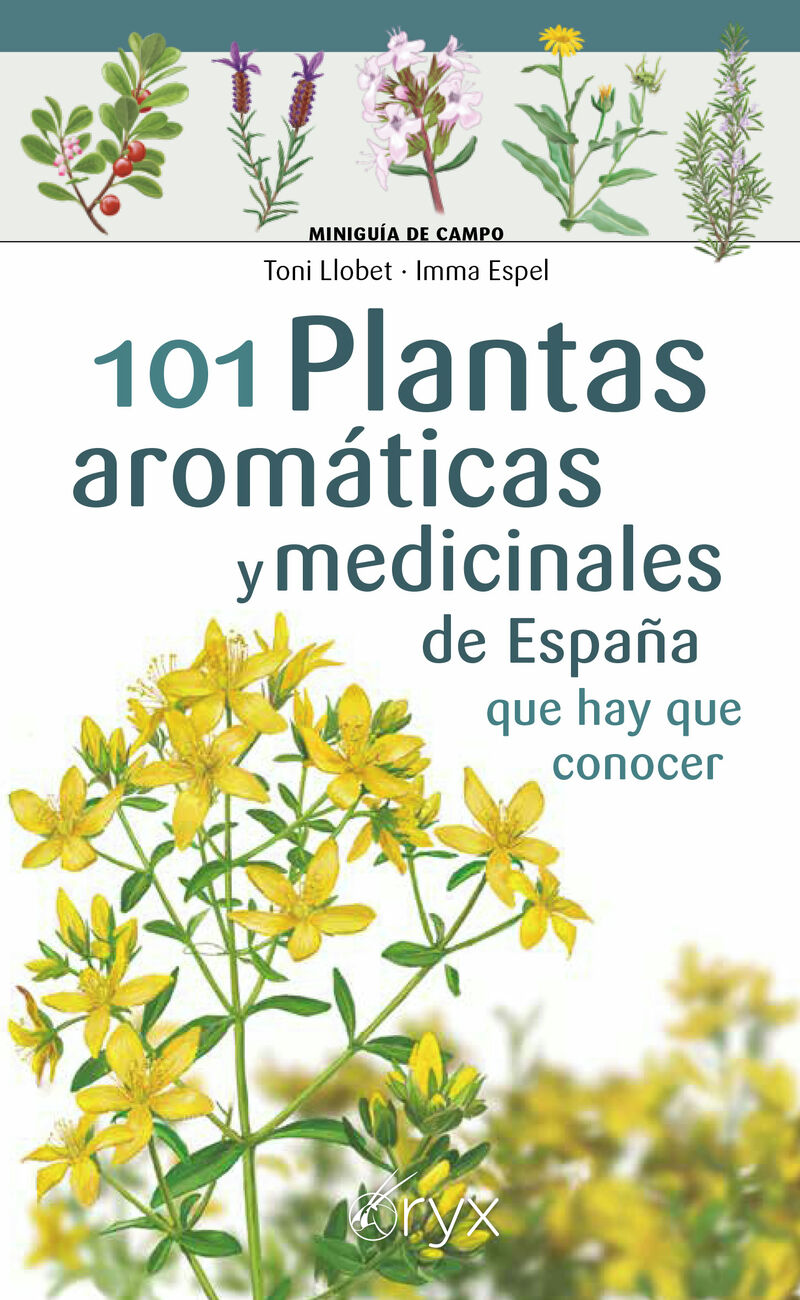 101 plantas aromaticas y medicinales de españa que hay que conocer - Toni Llobet / Imma Espel