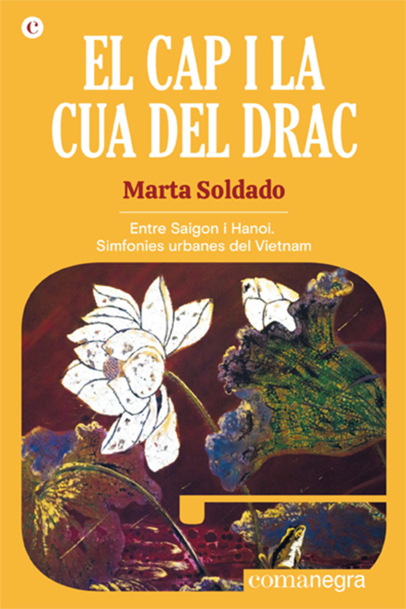 el cap i la cua del drac - entre saigon i hanoi - simfonies urbanes del vietnam - Marta Soldado