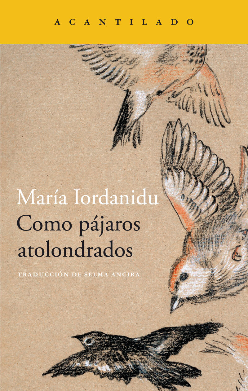 como pajaros atolondrados - Maria Iordanidu