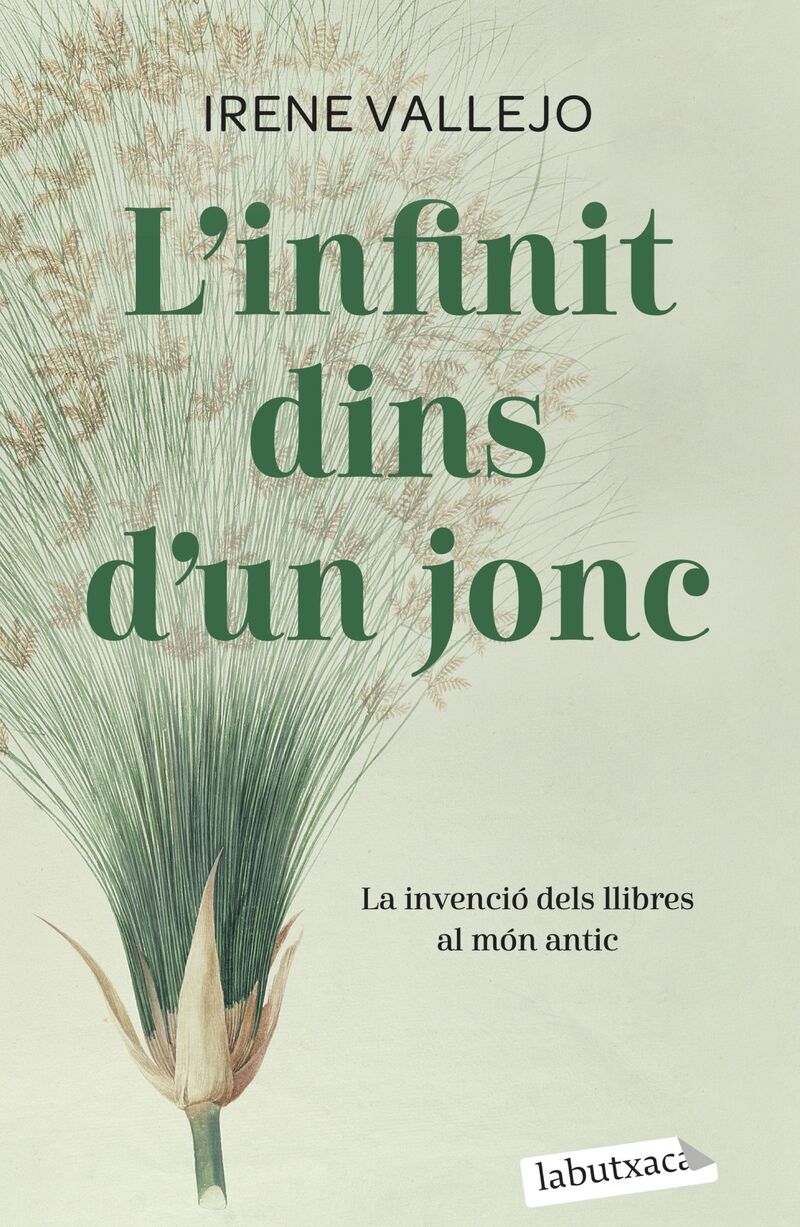 L'INFINIT DINS D'UN JONC - LA INVENCIO DELS LLIBRES AL MON ANTIC