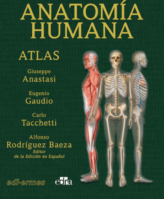 (2 ED) ATLAS ANATOMIA HUMANA