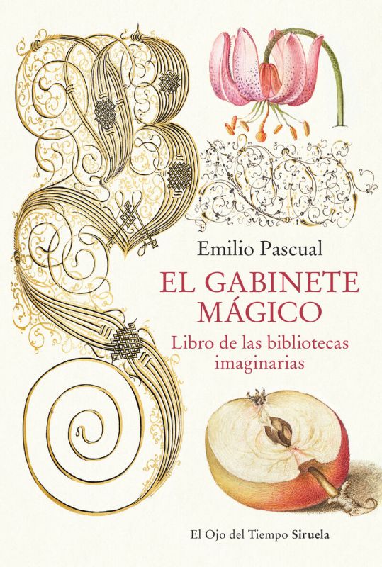 el gabinete magico - libro de las bibliotecas imaginarias - Emilio Pascual
