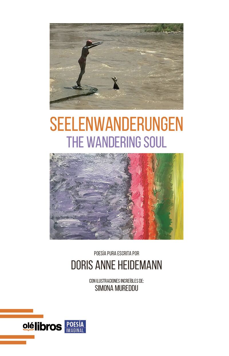 seelenwanderungen - Doris Anne Heidemann
