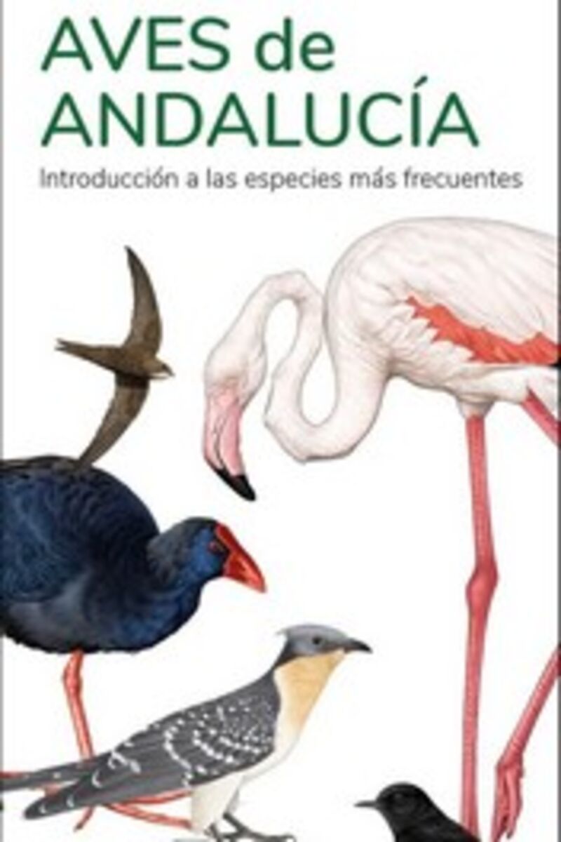 aves de andalucia guias desplegables tundra - J. Victor Hernandez