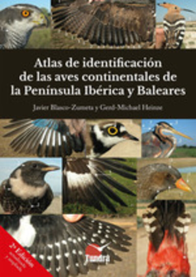 (2 ED) ATLAS DE IDENTIFICACION DE LAS AVES CONTINENTALES DE LA PENINSULA IBERICA