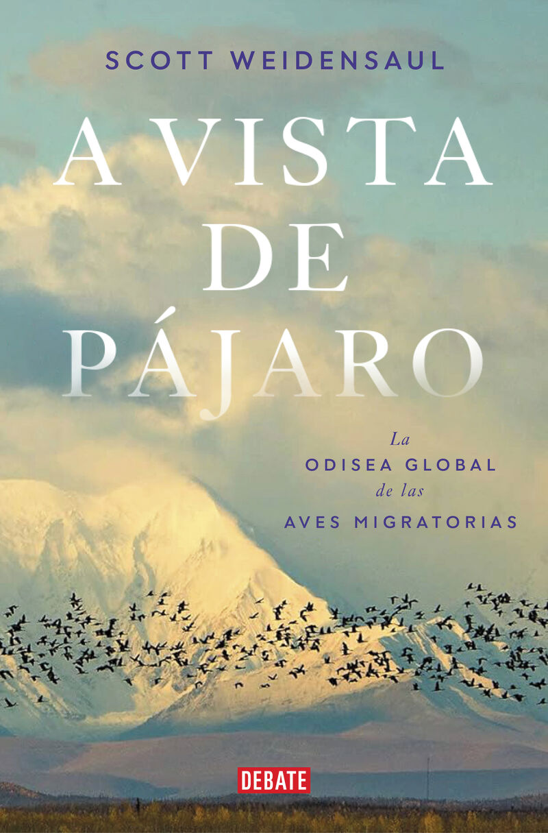 a vista de pajaro - the global odyssey of migratory birds - Scott Weidensaul