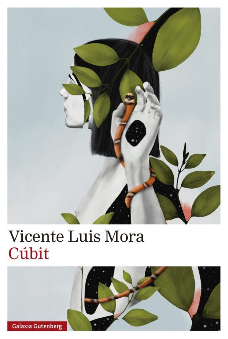 cubit - Vicente Luis Mora
