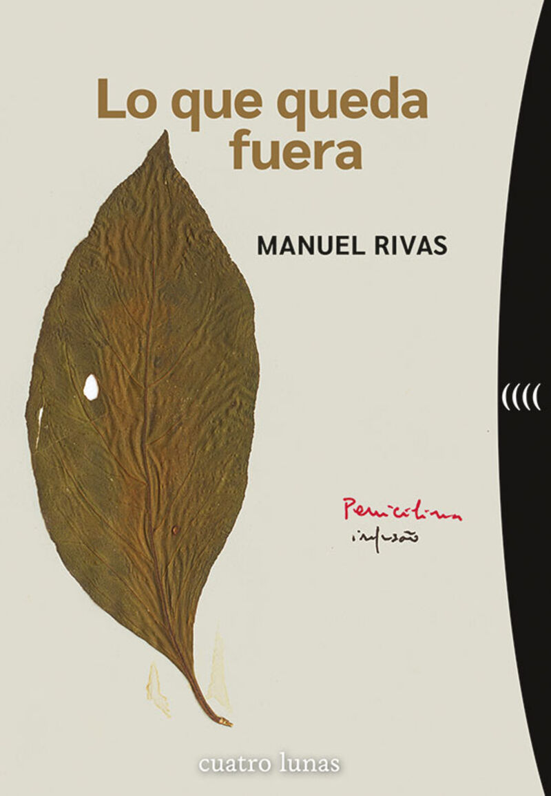 lo que queda fuera - Manuel Rivas