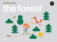 5 years - the forest - trotacaminos