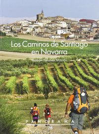 caminos de santiago en navarra, los (2ª ed) - Roman Felones Morras