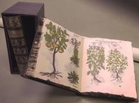 (2 ed) (estuche) herbarum, arborum, fruticum, frumentorum ac leguminum...