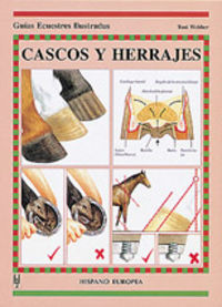 CASCOS Y HERRAJES