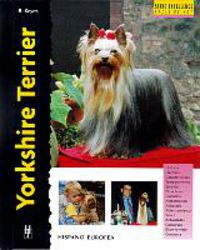 YORKSHIRE TERRIER (SERIE EXCELLENCE)