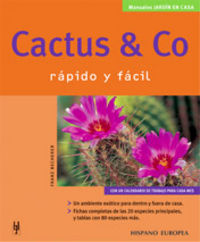 CACTUS & CO - RAPIDO Y FACIL