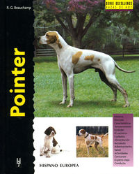 pointer (serie excellence)