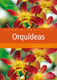 orquideas - Frank Rollke