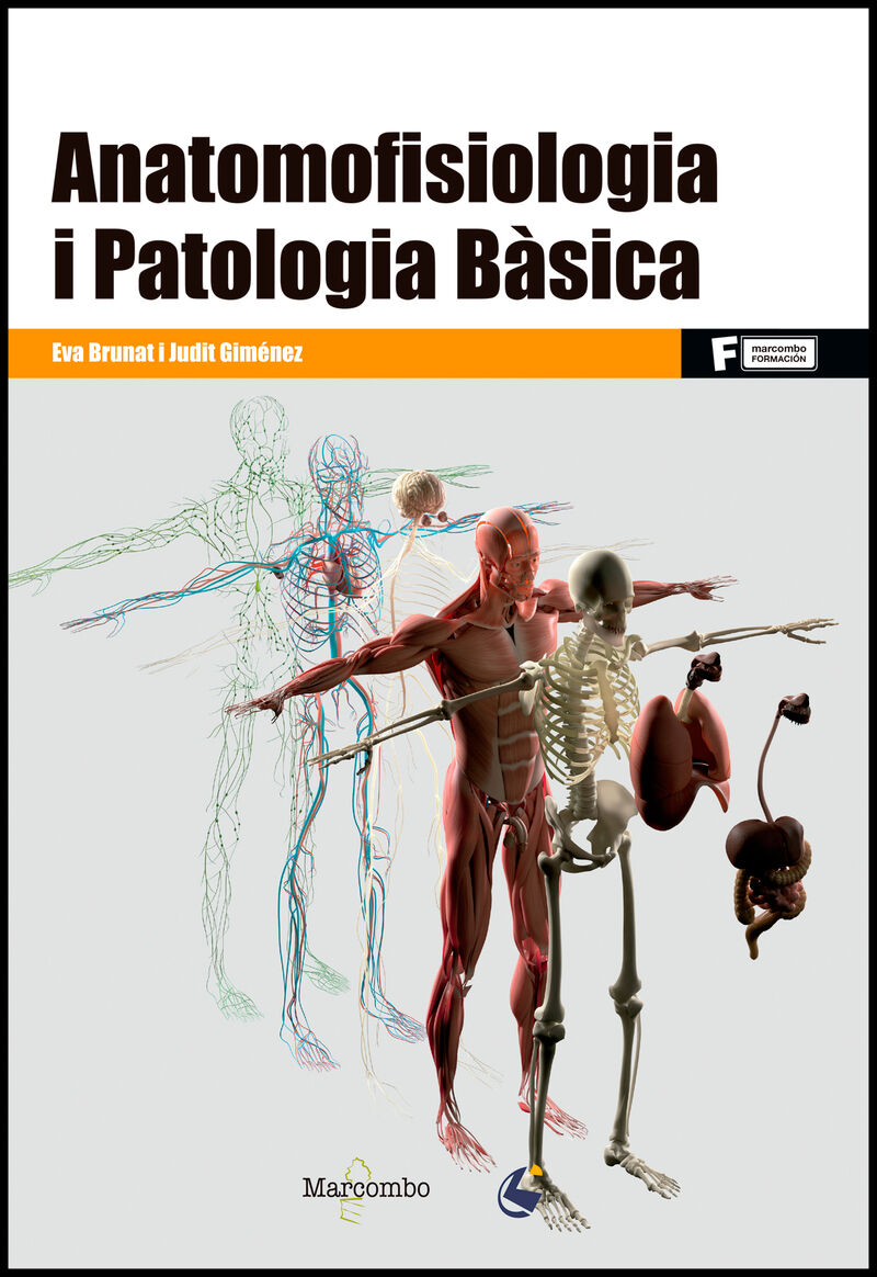 gm / gs - anatomofisiologia i patologia basica - Eva Brunat Parra / Judit Gimenez Vega