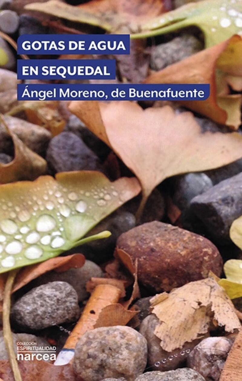gotas de agua en sequedal - De Buenafuente, Angel Moreno