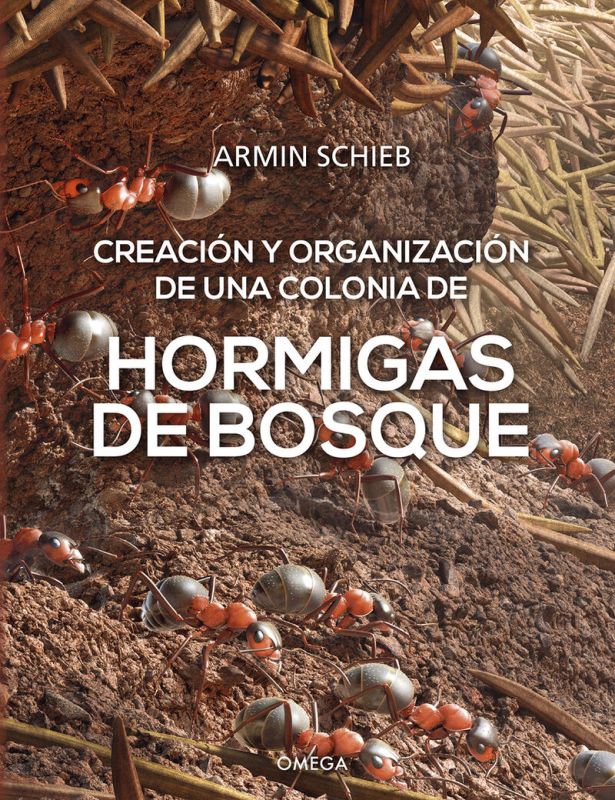 hormigas de bosque - creacion y organizacion de una colonia - Armin Schieb