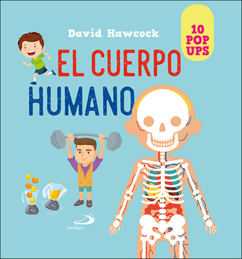 cuerpo humano - 10 pop ups - David Hawcock