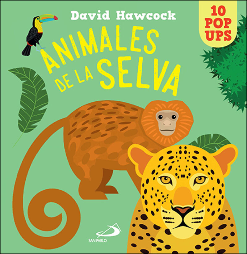 animales de la selva - 10 pop ups - David Hawcock