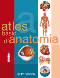 (11 ed) atles basic d'anatomia - Adolfo Cassan Tachlitzky